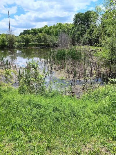 Half-Acre Park - Monroe Township, NJ