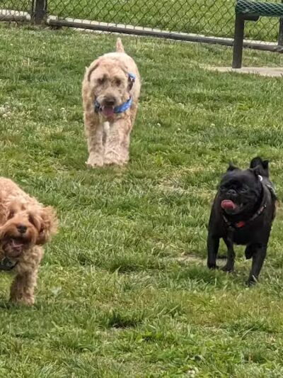 Half-Acre Park - Monroe Township, NJ