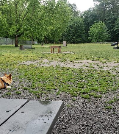Wiggly Field Dog Park - Monroe, WA