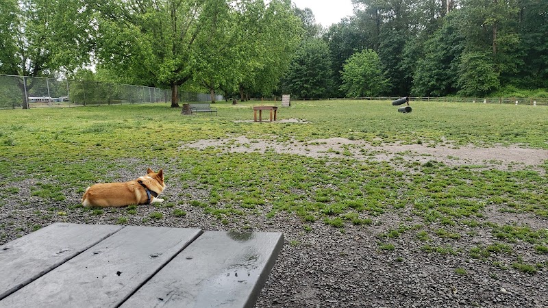 Wiggly Field Dog Park - Monroe, WA