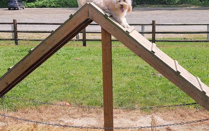 Wiggly Field Dog Park - Monroe, WA