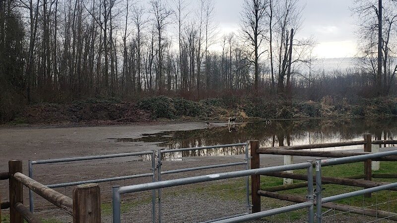 Wiggly Field Dog Park - Monroe, WA