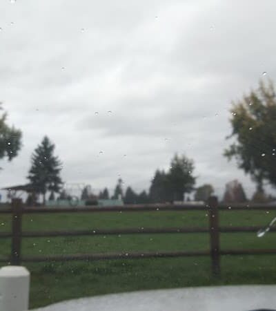 Wiggly Field Dog Park - Monroe, WA