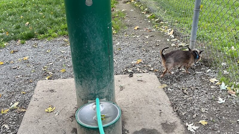 Wiggly Field Dog Park - Monroe, WA