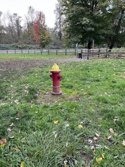 Wiggly Field Dog Park - Monroe, WA