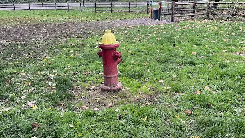 Wiggly Field Dog Park - Monroe, WA