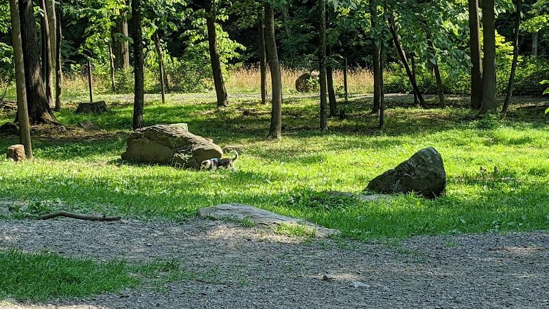 Krepps Dog Park - Morgantown, WV