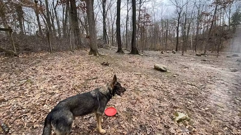 Krepps Dog Park - Morgantown, WV