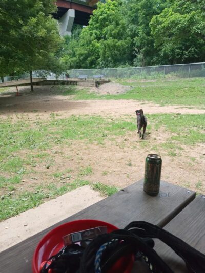 Stanley's Spot Dog Park - Morgantown, WV