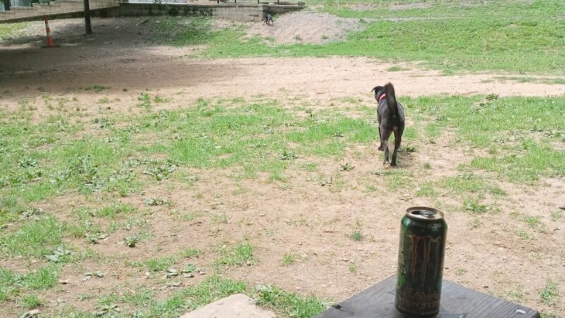 Stanley's Spot Dog Park - Morgantown, WV