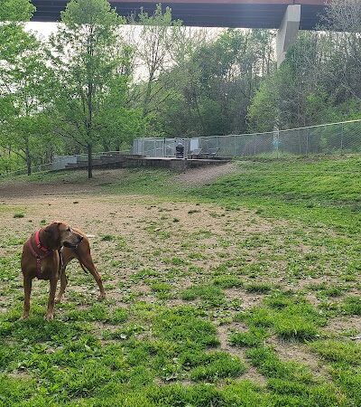 Stanley's Spot Dog Park - Morgantown, WV