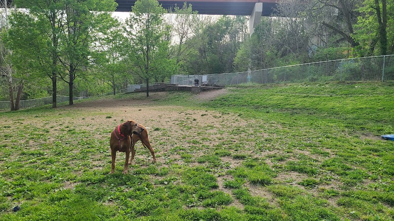Stanley's Spot Dog Park - Morgantown, WV