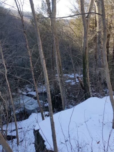 Stanley's Spot Dog Park - Morgantown, WV