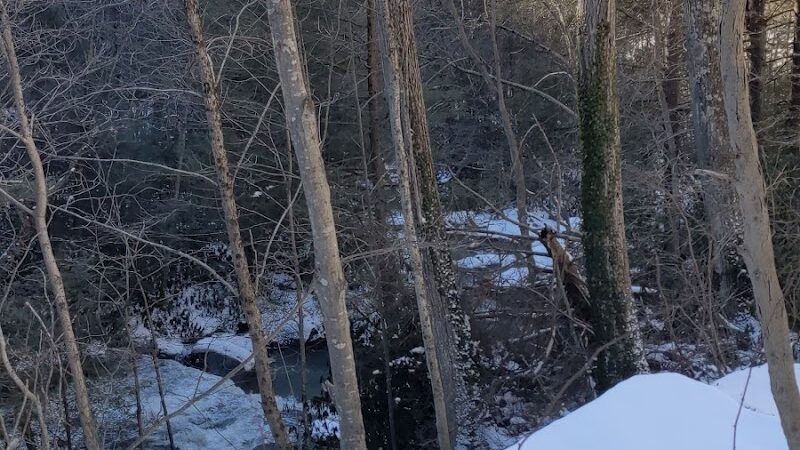 Stanley's Spot Dog Park - Morgantown, WV