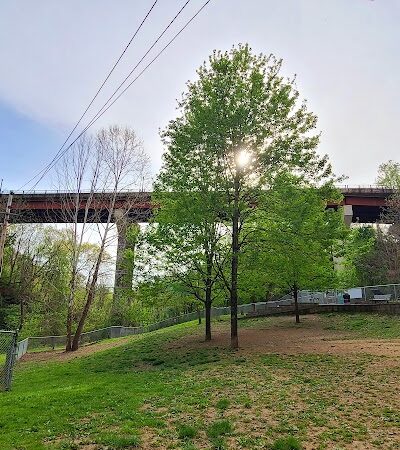 Stanley's Spot Dog Park - Morgantown, WV