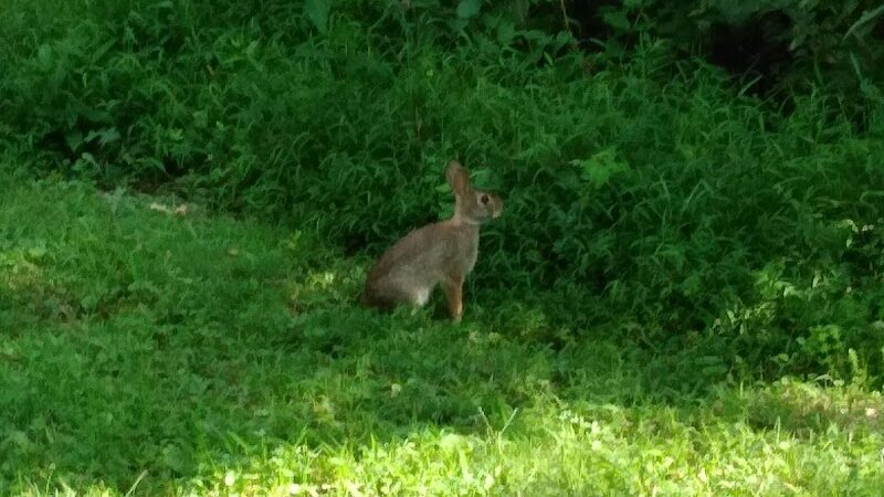 Stanley's Spot Dog Park - Morgantown, WV