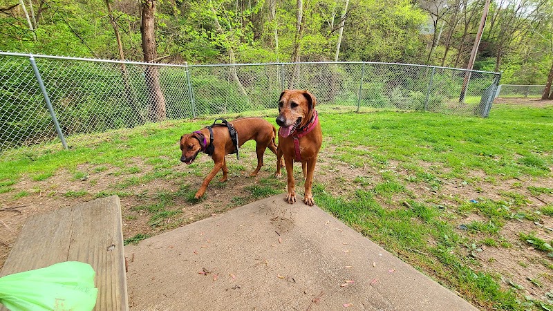 Stanley's Spot Dog Park - Morgantown, WV