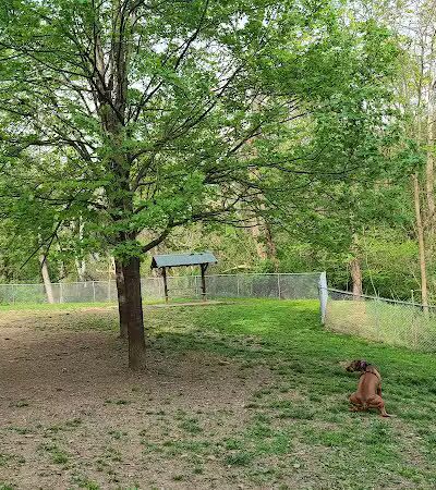 Stanley's Spot Dog Park - Morgantown, WV