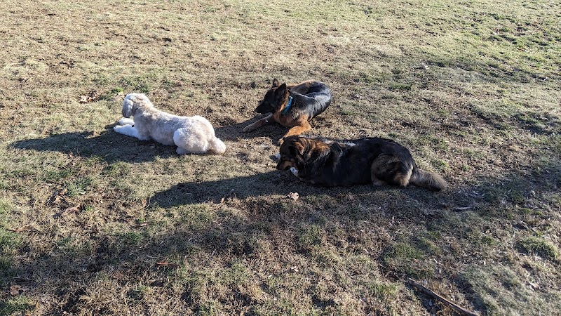 Happy Hound Playground - Morris Plains, NJ