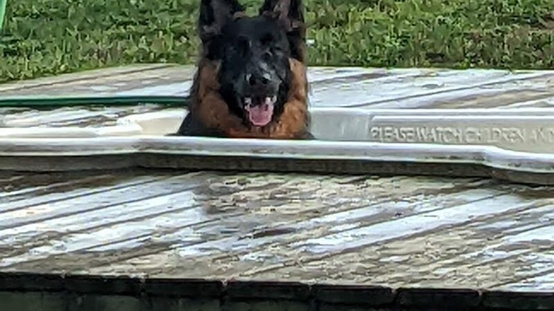 Happy Hound Playground - Morris Plains, NJ