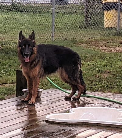 Happy Hound Playground - Morris Plains, NJ