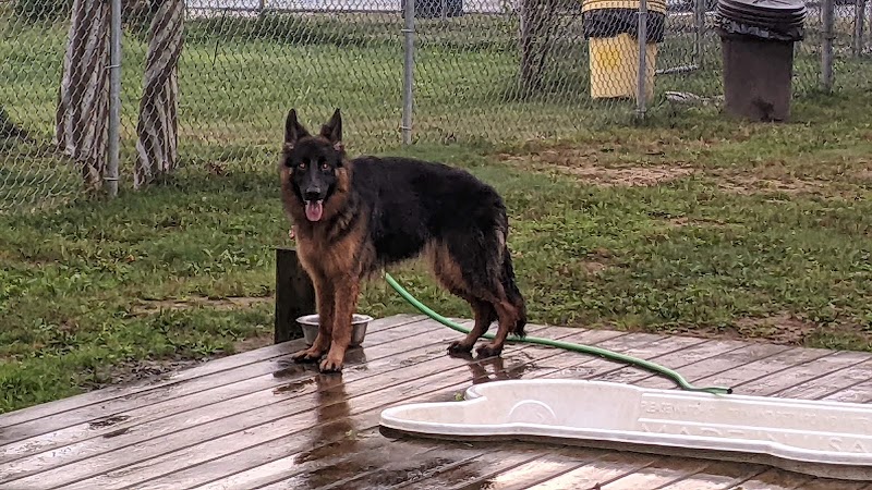 Happy Hound Playground - Morris Plains, NJ