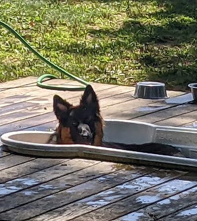 Happy Hound Playground - Morris Plains, NJ