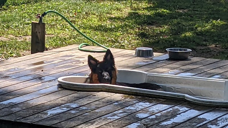 Happy Hound Playground - Morris Plains, NJ