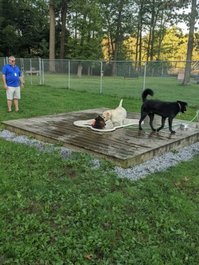 Happy Hound Playground - Morris Plains, NJ
