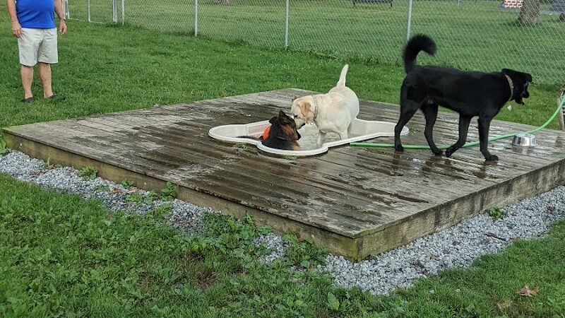 Happy Hound Playground - Morris Plains, NJ
