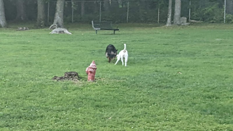 Happy Hound Playground - Morris Plains, NJ