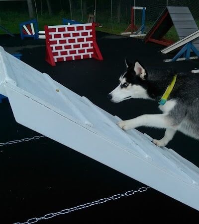 Happy Hound Playground - Morris Plains, NJ