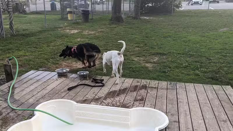 Happy Hound Playground - Morris Plains, NJ