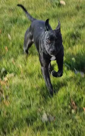 French Creek Park - Morrison, IL
