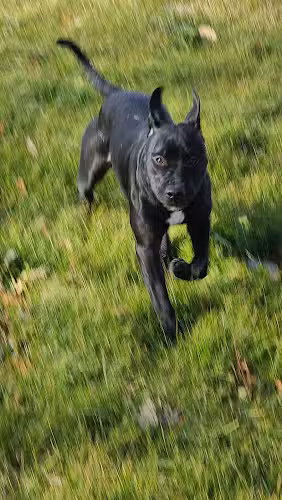 French Creek Park - Morrison, IL