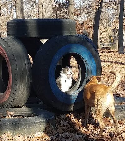 Oakwood Dog Park - Morton, IL