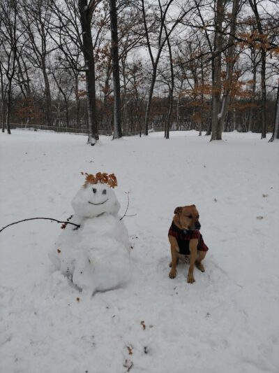 Oakwood Dog Park - Morton, IL