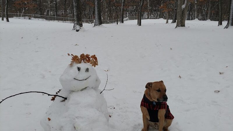 Oakwood Dog Park - Morton, IL
