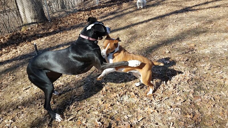 Oakwood Dog Park - Morton, IL