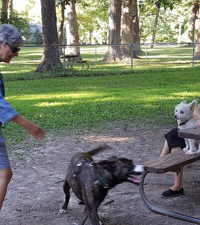 Oakwood Dog Park - Morton, IL