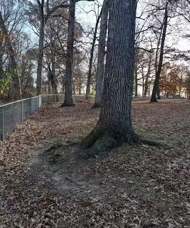 Oakwood Dog Park - Morton, IL