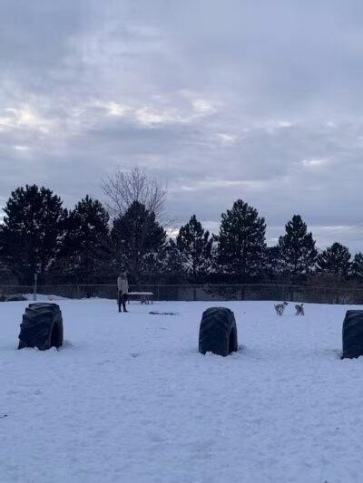 Moscow Dog Park - Moscow, ID