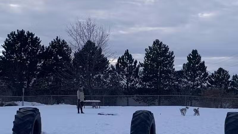 Moscow Dog Park - Moscow, ID