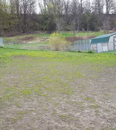 Moscow Dog Park - Moscow, ID