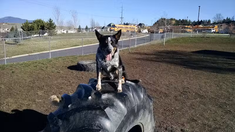 Moscow Dog Park - Moscow, ID