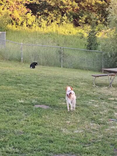 Moscow Dog Park - Moscow, ID