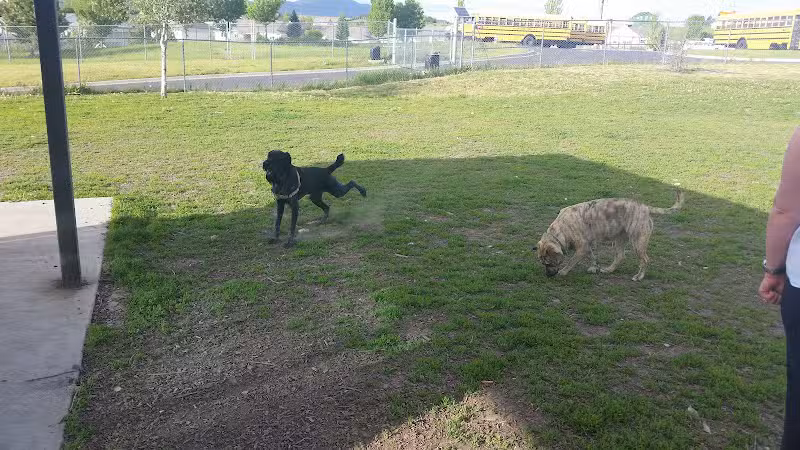 Moscow Dog Park - Moscow, ID