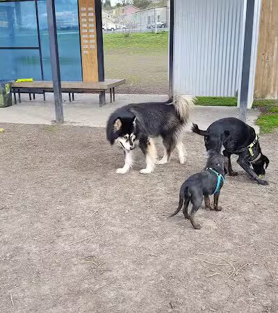 Moscow Dog Park - Moscow, ID