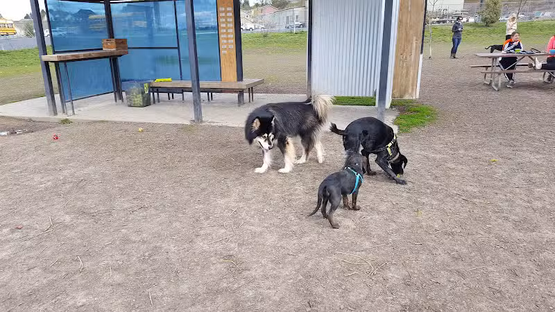 Moscow Dog Park - Moscow, ID