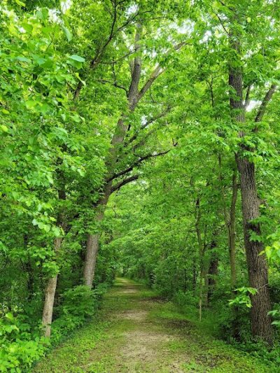 Mill Park - Moscow Mills, MO